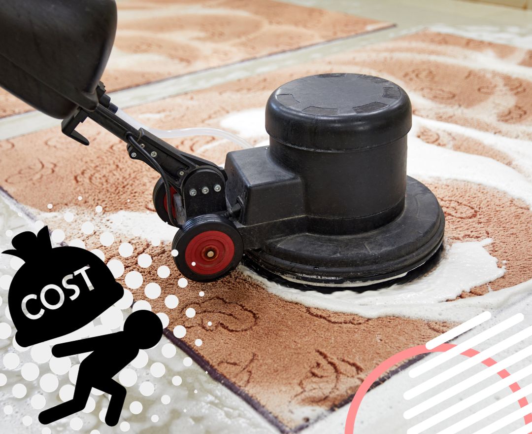How Much Does Commercial Carpet Cleaning Cost